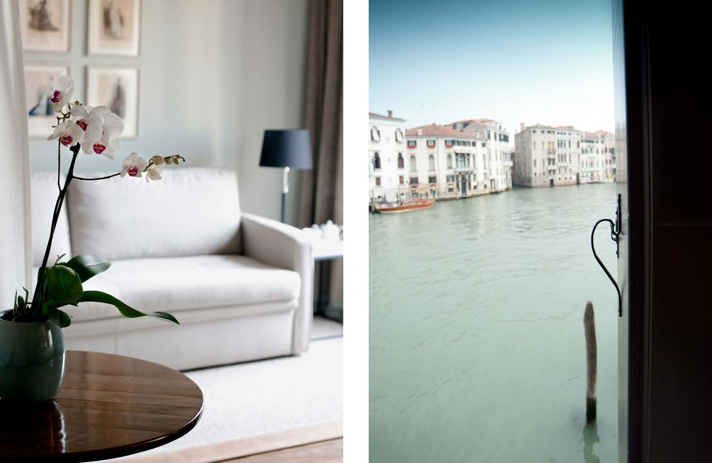 CIMA ROSA Venezia photo