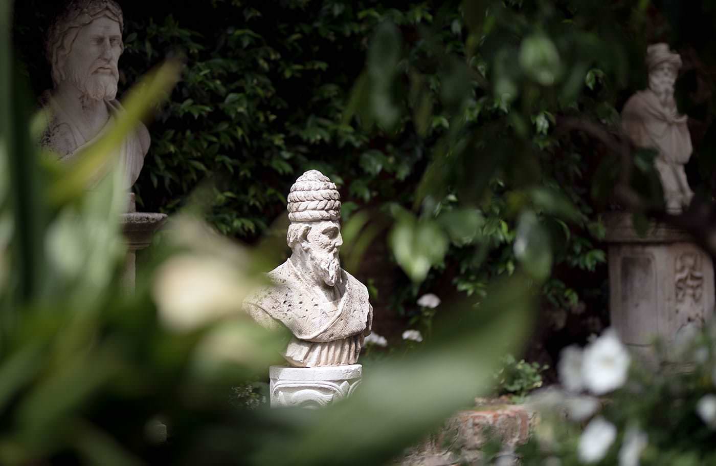 CIMA ROSA Venezia photo