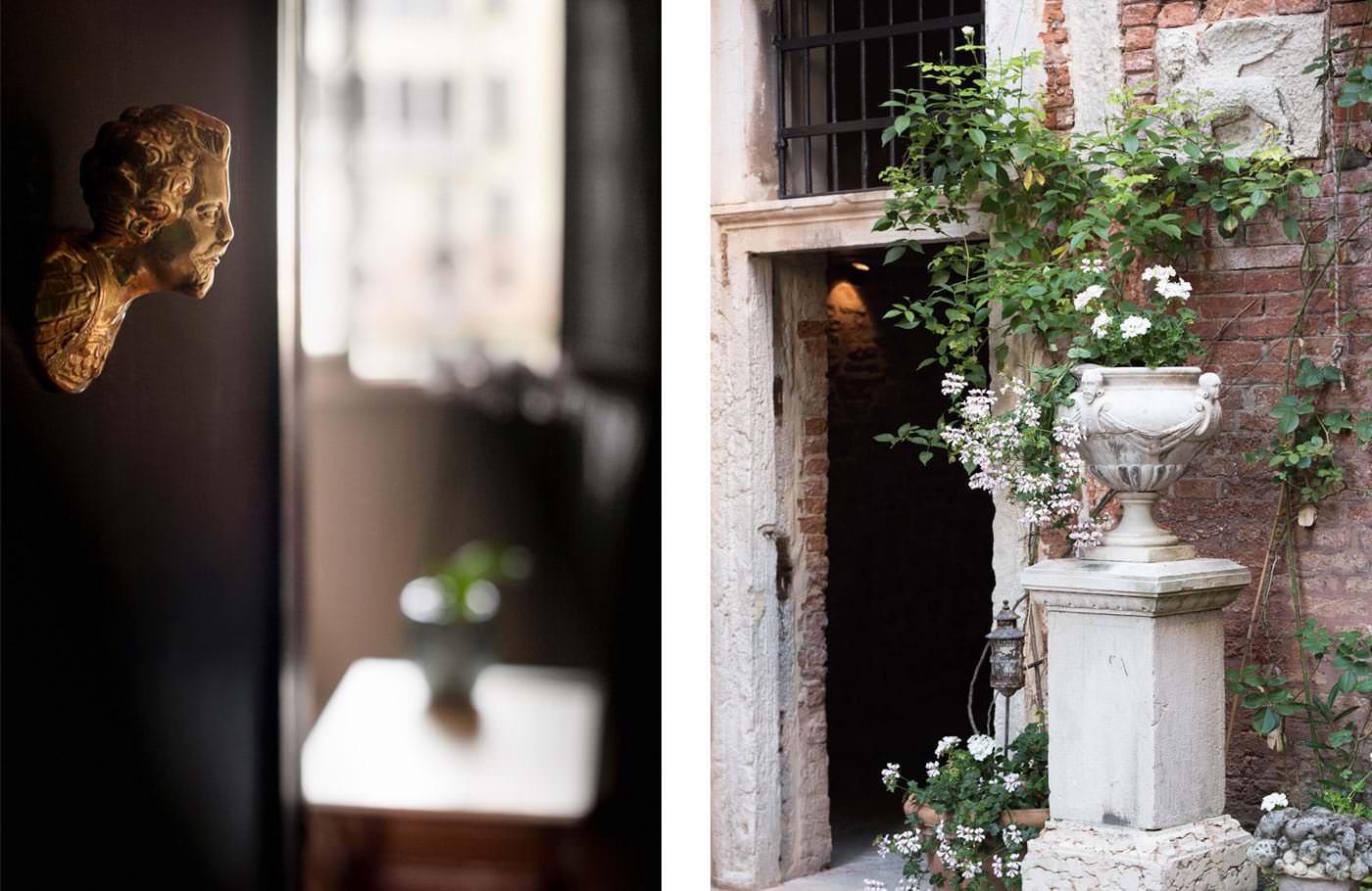 CIMA ROSA Venezia photo