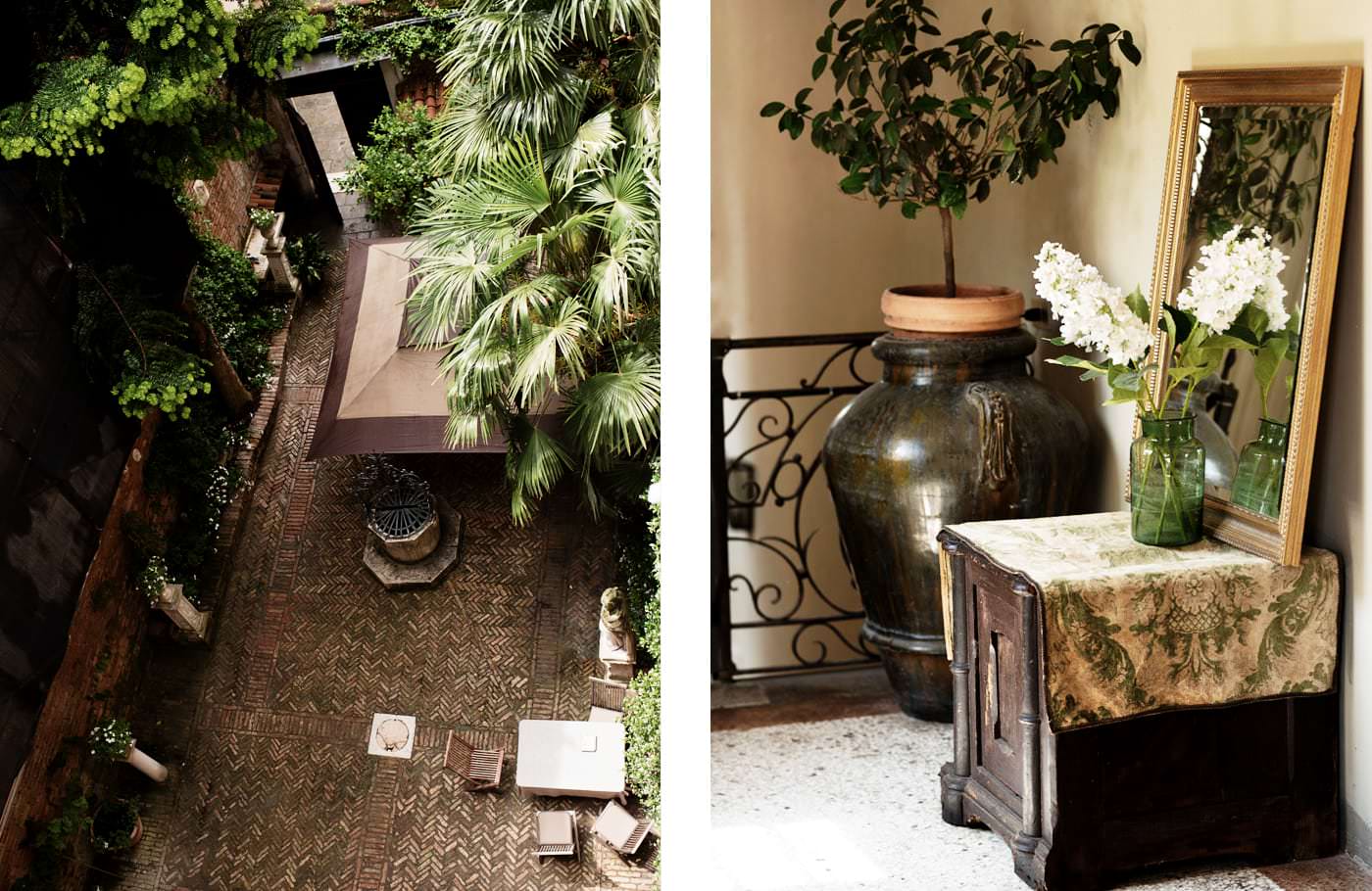 CIMA ROSA Venezia photo